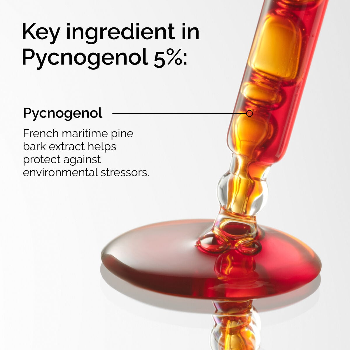 pycnogenol-5-m3 FY25-D41247-ORD-Web-PDP-Pyc-5pct-1x1-EN-2a.jpg