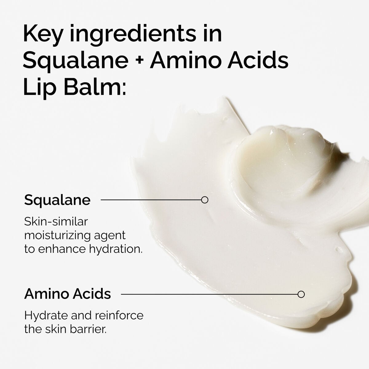 squalane-amino-acids-lip-balm-a5 FY25-D41247-ORD-Web-PDP-Sql-Amino-Lip-1x1-EN-2a.jpg