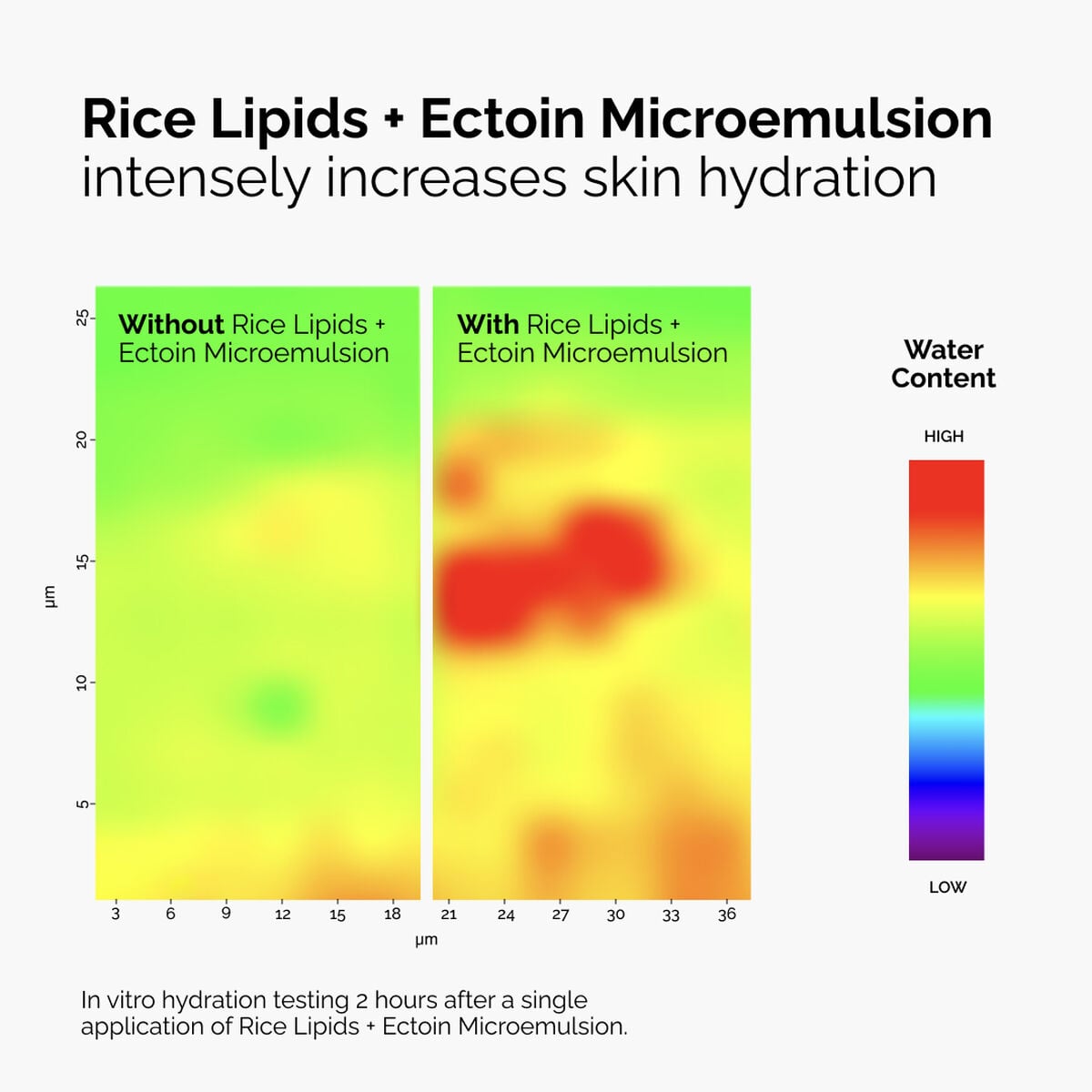 rice-lipids-ectoin-microemulsion-g1 ord-rice-lipids-ectoin-microemulsion-thermal-before-after.jpg
